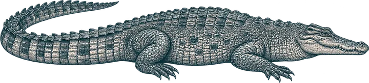 Nile crocodile