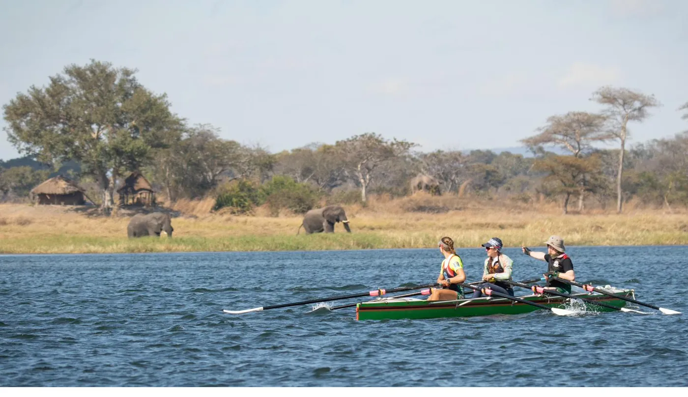 A RowSafari crew rowing along the Kafue with elephants grazing on the far bank